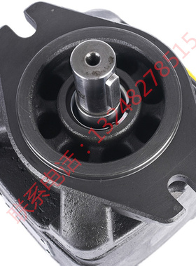 HG0/HG1/HG2-13 16 25 32 40 50 63-01R-VPC内啮合齿轮泵厂家现货