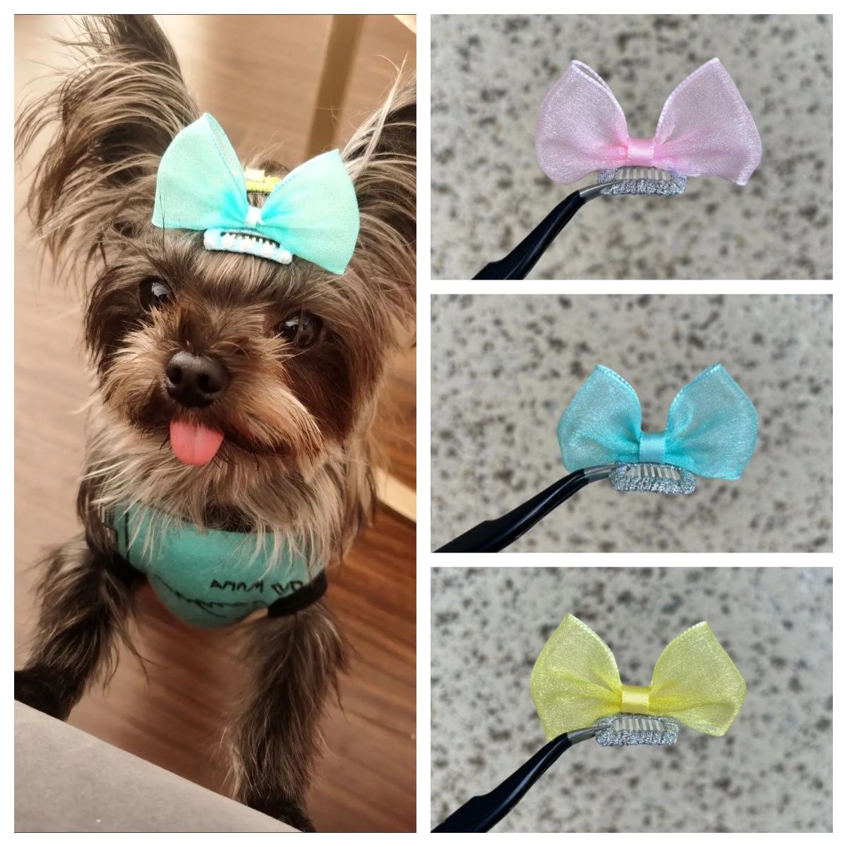 宠物立体蝴蝶结狗狗迷你碎发比熊bb夹猫咪饰品约克夏马尔济斯头饰
