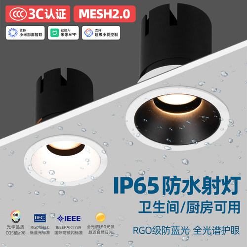 智能Mesh2.0防水防雾射灯防眩