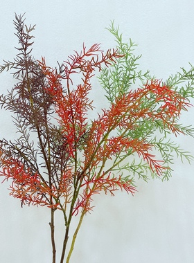 仿真花橘色绿色千层金傲梅叶雾松客厅样板间装饰摆放塑料草