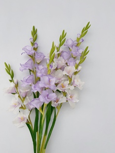 剑兰花仿真花装饰摆件花卉高档假花高级感客厅落地大花瓶插花婚庆