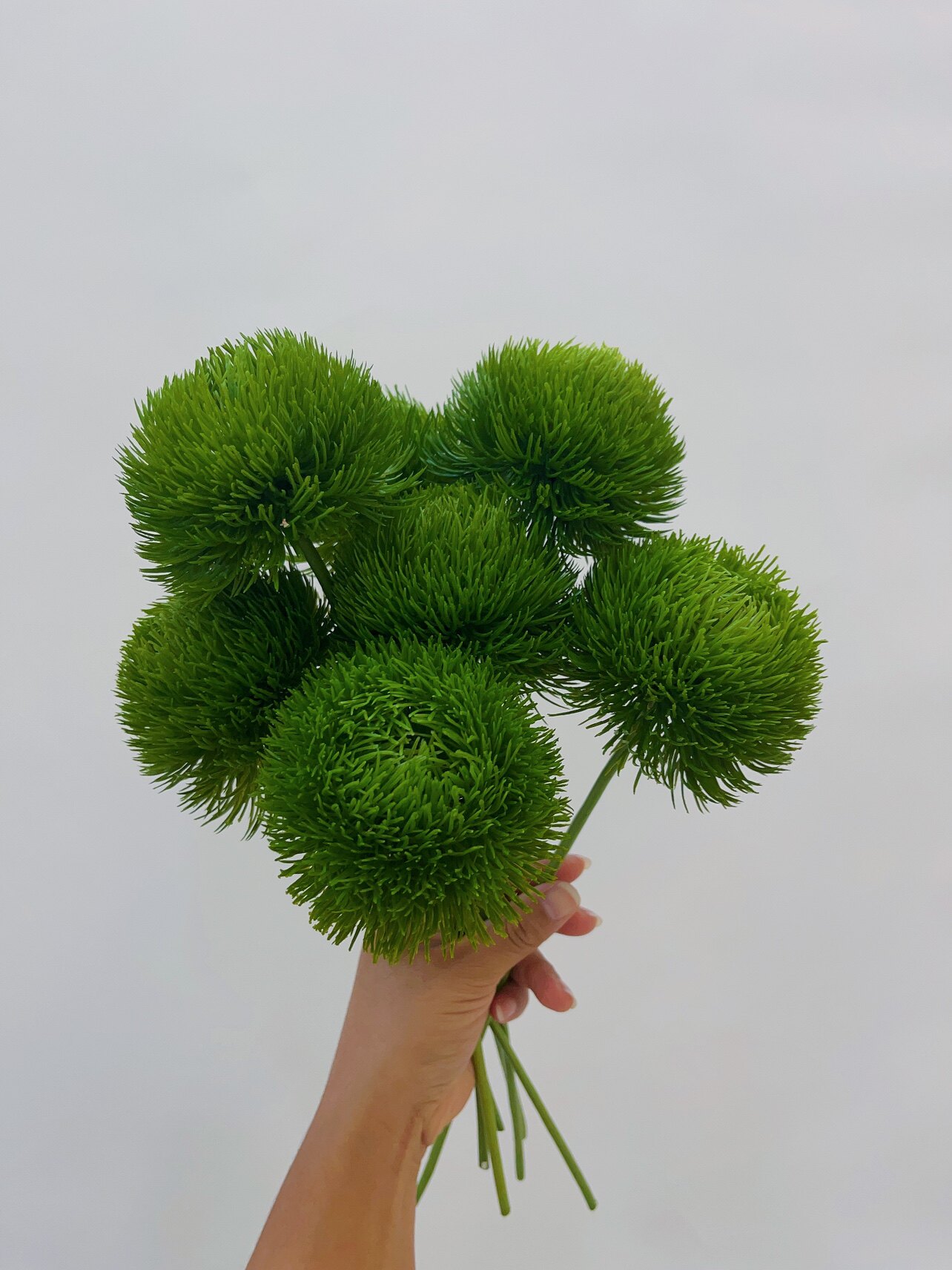 仿真花 绿石竹 绿毛球 花艺插花 家居样板间花艺 东方插花 摄影道