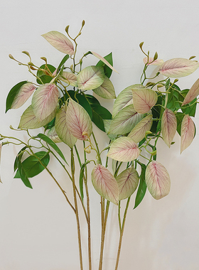 高仿真绿色竹芋叶桌面摆放绿植热带雨林装饰手感过胶单只叶子新款