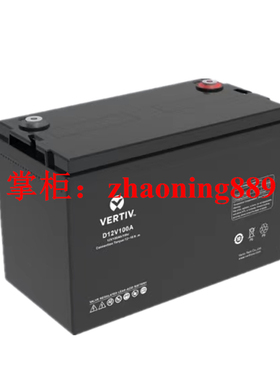 维谛VERTIV D12V100A 12V100Ah UPS EPS 系统 阀控式铅酸蓄电池