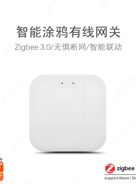 涂鸦智选有线网关THP10-Z智能家居智慧酒店Zigbee设备控制中心