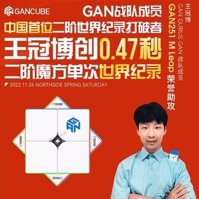GAN251MPro二阶磁力魔方a