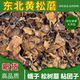 新货松蘑东北特产野生松蘑菇干货粘团子蛾子松菇黄松蘑菇一斤装