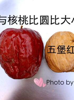 自家2025新疆特产干果红枣哈密大枣五堡大枣500克 包邮