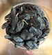 新疆吐鲁番黑加仑葡萄干香妃王零食无核无籽500克提子干 包邮