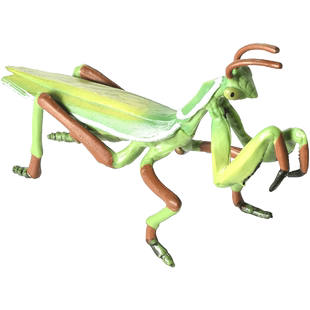 儿童礼物仿真野生动物玩具模型昆虫螳螂科刀螂眼斑螂螳螂3-8岁