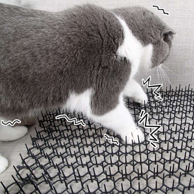 防猫爬刺垫驱狗防猫咪上床乱尿猫禁区防猫网刺钉驱赶野猫b驱猫神