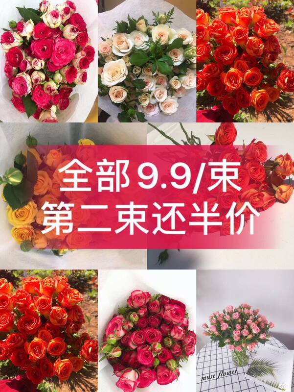 多头百合花鲜花素材模板 多头百合花鲜花图片下载 小麦优选