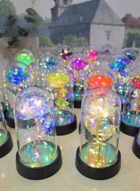 Valentines Day Gift for Girlfriend Eternal Rose LED Light F