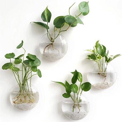 Pack Wall Hanging Glass Terrarium - Self-Watering Hydroponic