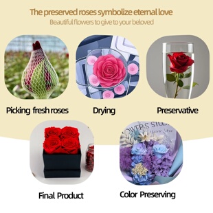 Preserved Flower Gift Box - Eternal Rose Bouquet for Valent
