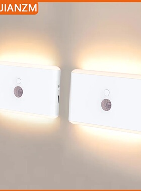 LED Motion Sensor Light Wireless LED Night Light Type C Rec