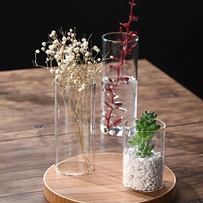 Clear Glass Flower Vase Tabletop Borosilicate Vases Floral