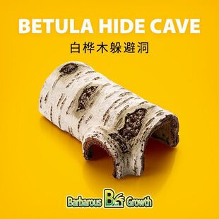 水族箱爬虫箱白桦木躲避饲养屋洞宠物爬行动物蜥蜴造景