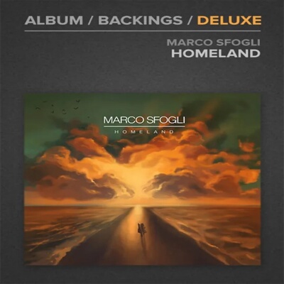 Marco Sfogli Homeland Album Guitar Solo 9首JTC吉他独奏+音伴