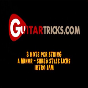 GuitarTricks Don Madison Guitar Lessons 金属吉他点弦速弹教程