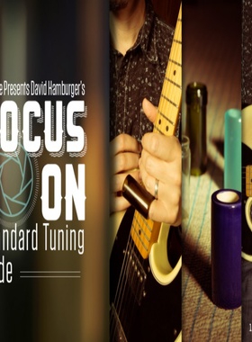 TrueFire Focus On Standard Tuning Slide David Hamburger 滑棒
