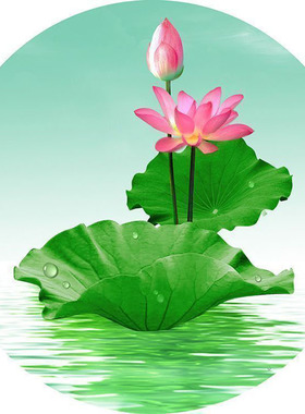 圆形荷花图流水生财蓝天白云净秽荷花图红太阳风水画不干胶贴纸