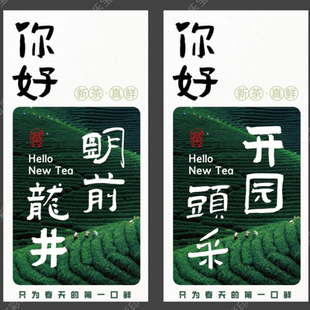 2026年新茶标签春茶头采封口贴纸绿茶不干胶特级新茶贴纸封签定制