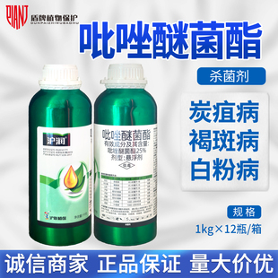 沪联沪润 25%吡唑醚菌酯芹菜香蕉白粉病炭疽叶斑病农药杀菌剂农用