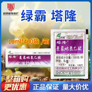 整箱10ml*400袋 绿霸 塔隆氯氟吡氧乙酸冬小麦田玉米田农药除草剂