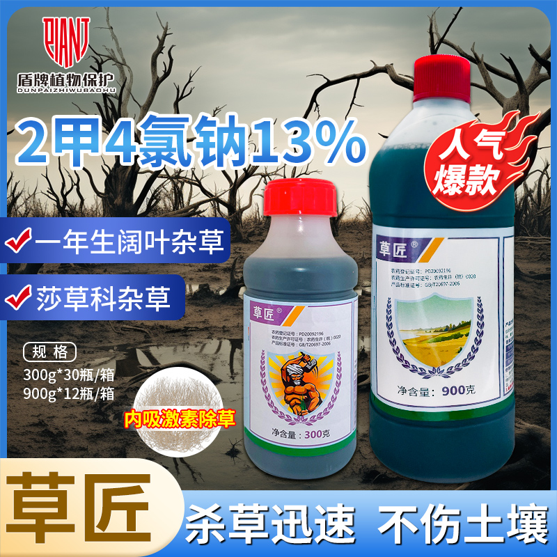 华星草匠 13%二甲四氯钠2甲4氯钠莎草科杂草一年生阔叶杂草除草剂