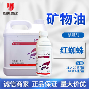 先正达 翼选99%矿物油清园药柑橘树红蜘蛛杀螨剂农药杀虫剂清园剂