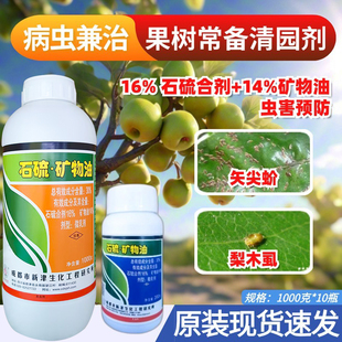 大中 30%石硫合剂矿物油梨木虱矢尖蚧清园农药杀菌杀虫剂