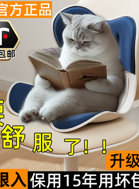 日本座椅靠垫护腰坐垫坐姿椅矫正器工位久坐神器托腰部支撑办公室
