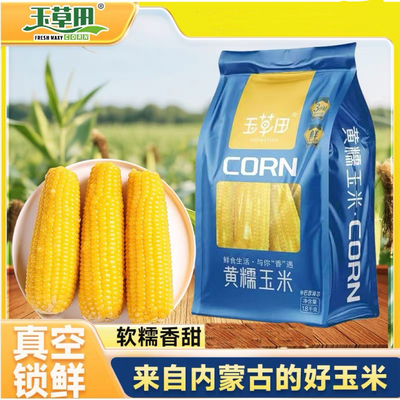玉草田黄糯玉米1800g袋装内蒙古