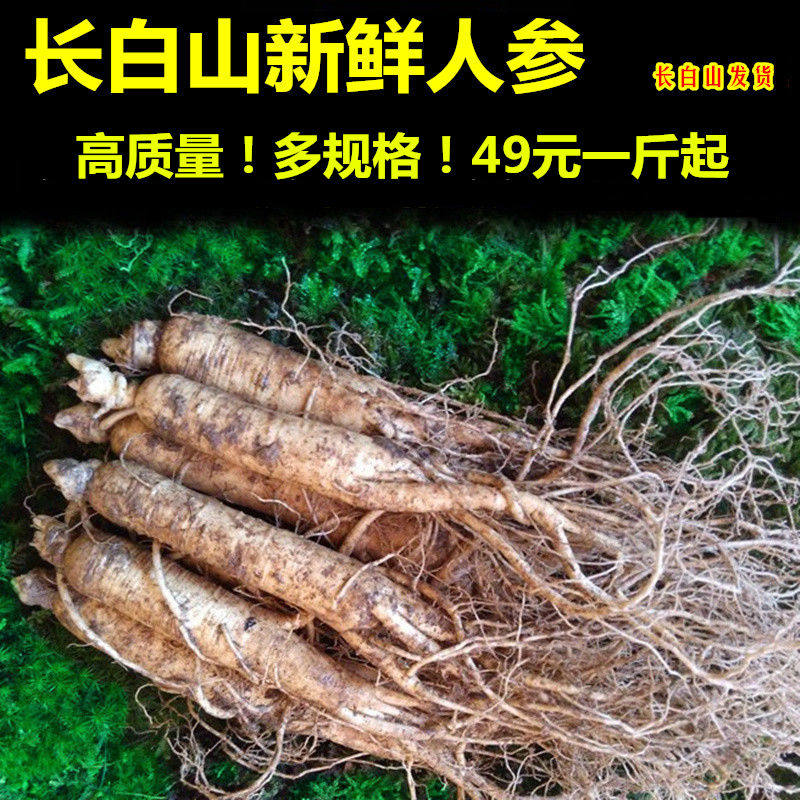 东北长白山新鲜棒槌林下人参干货人参/园参及其制品