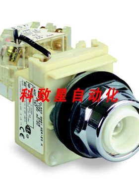 工业配件9001KT38-120V 30MM 按钮指示灯