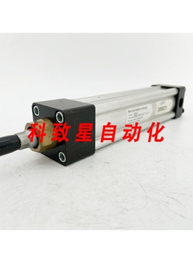 工业配件300021 气动缸 250 PSI 226591-003-1619