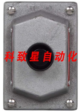 工业配件DSD919-10A 600VAC 2-CIRCUIT FRONT-OPERATED PUSHBUTT