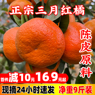 万州三月红桔 川红橘小柑新鲜水果陈皮大红袍 正宗四川重庆柑子
