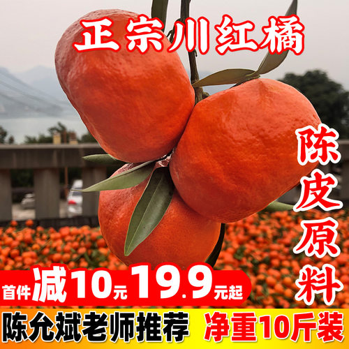 万州古红桔新鲜四川红橘老树柑子