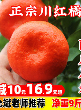 万州古红桔 川红橘小柑新鲜水果陈皮大红袍 正宗四川重庆老树柑子