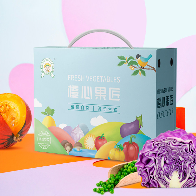 新鲜蔬菜礼盒组合大礼包588型蔬菜礼盒正阳鲜蔬团购年货礼品优惠
