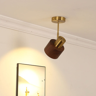 新款 中古风单头吸顶射灯可调旋转背景墙卧室衣帽间补光木纹小射灯