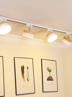 北欧LED家用散光导轨灯客厅餐厅背景墙补光三色芯片射灯轨道灯具