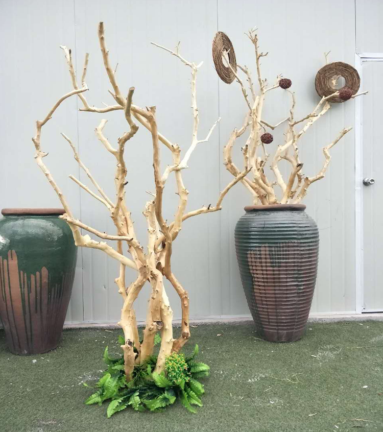 干树枝树装饰造景花瓶艺术枯枝树干去皮本色造型衣架创意diy道具
