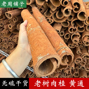 广西深山老树肉桂黄通干净无硫桂皮香料刮皮桂通产地直发可打粉