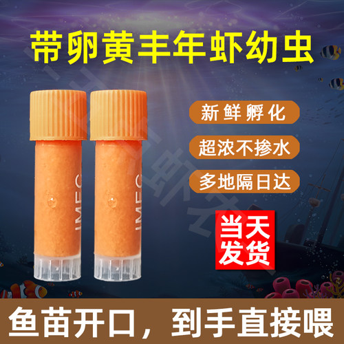 冰鲜丰年虾幼虫适用各种观赏鱼
