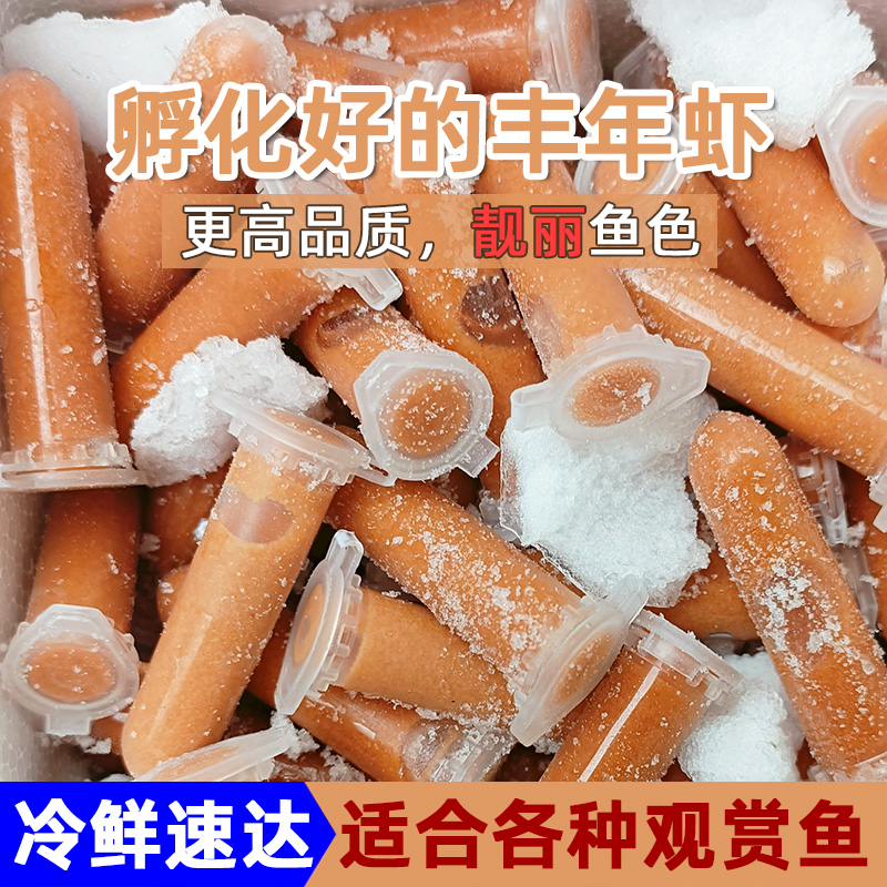 冰鲜丰年虾幼虫适用各种观赏鱼