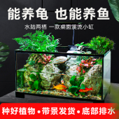 乌龟缸超白玻璃生态鱼缸小型一体水陆造景饲养箱晒爬台养乌龟专用