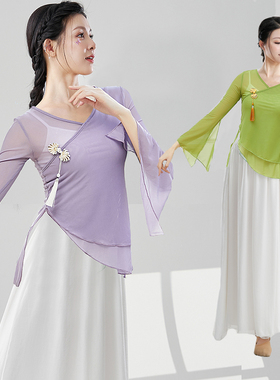 古典舞服装飘逸身韵渐变纱衣练功服仙气形体服裙裤舞蹈演出服网纱